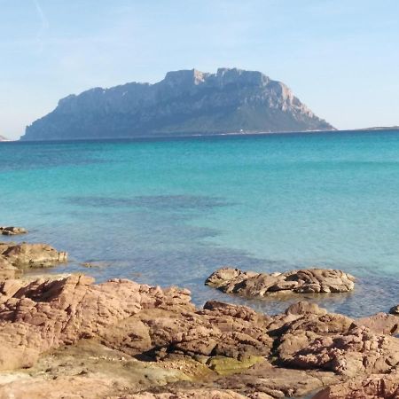 Aria Di Vacanza - Gelsi Olbia Eksteriør billede
