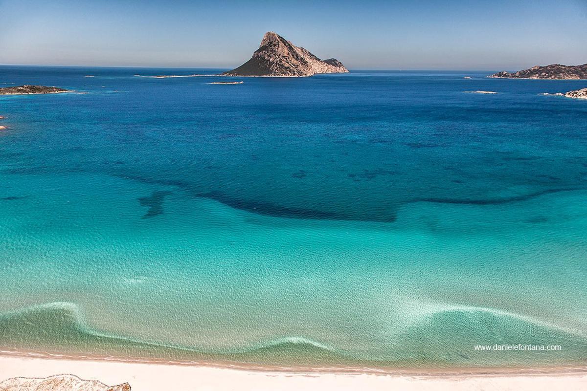 Aria Di Vacanza - Gelsi Olbia Eksteriør billede