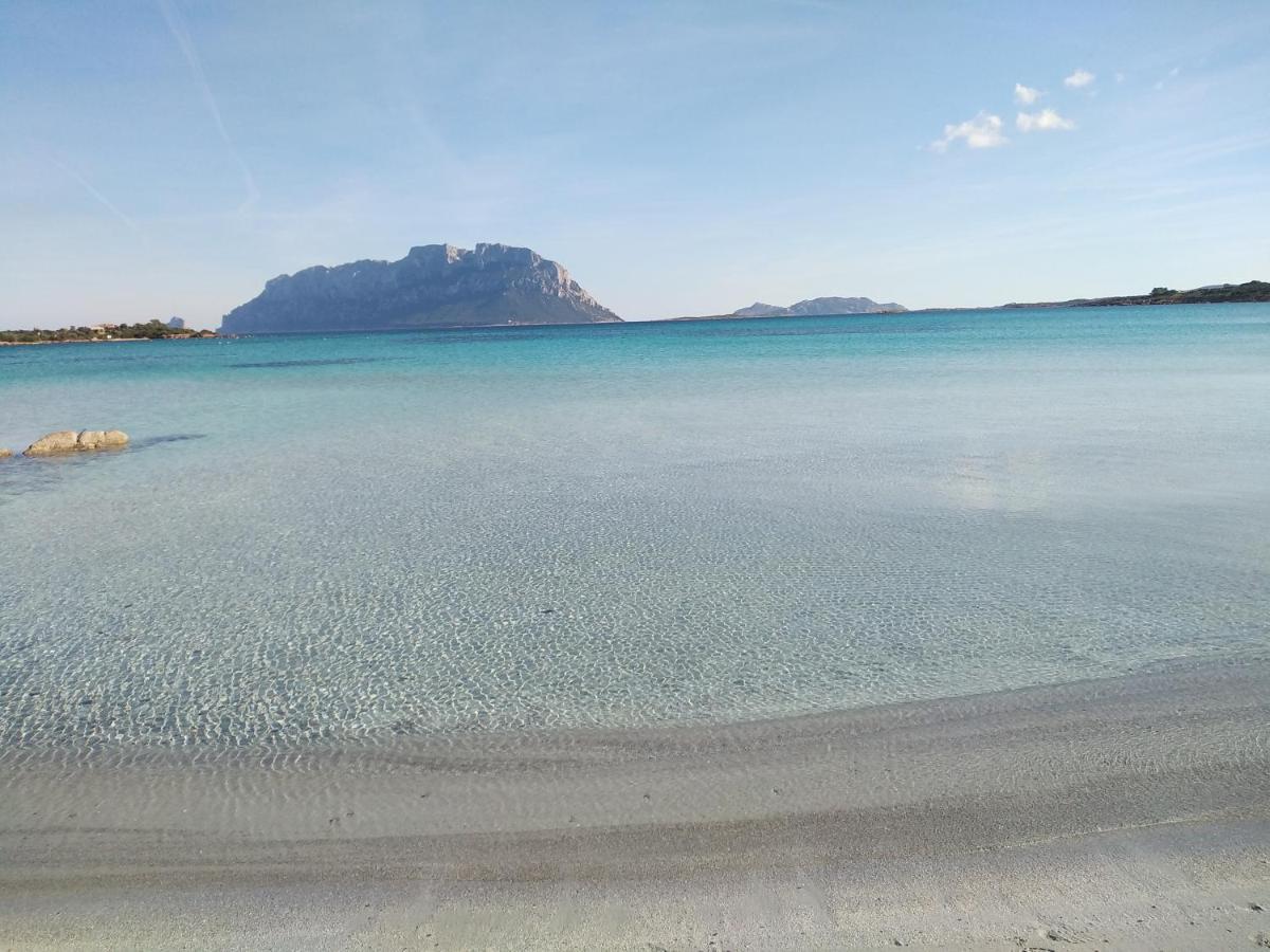 Aria Di Vacanza - Gelsi Olbia Eksteriør billede