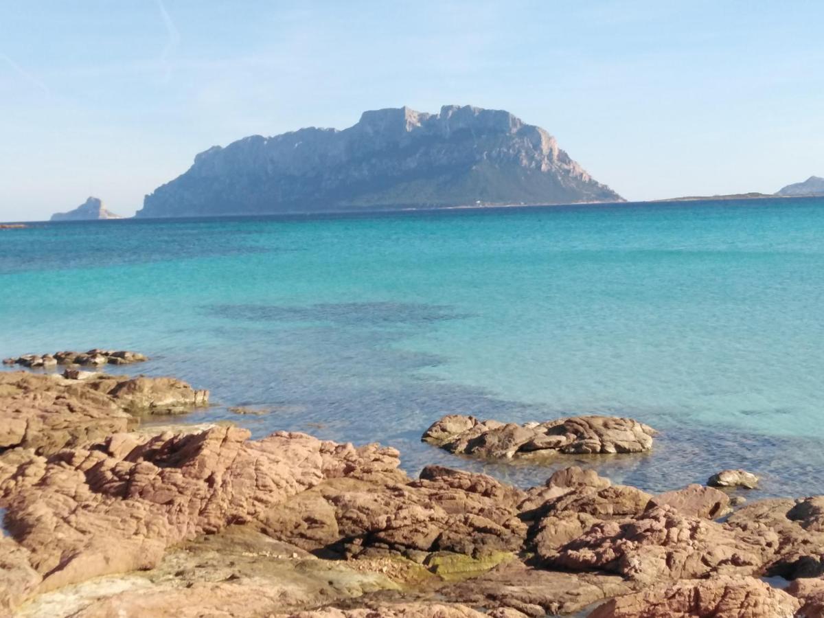 Aria Di Vacanza - Gelsi Olbia Eksteriør billede